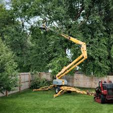 Professional Tree Care  in Spotswood, NJ